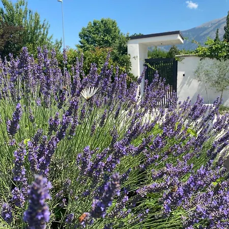 Happy Nest Holiday home Sulmona