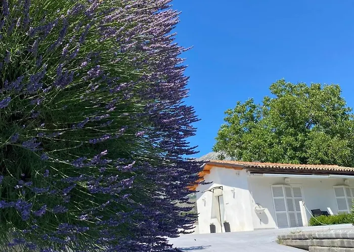 Happy Nest Tatil Evi Sulmona