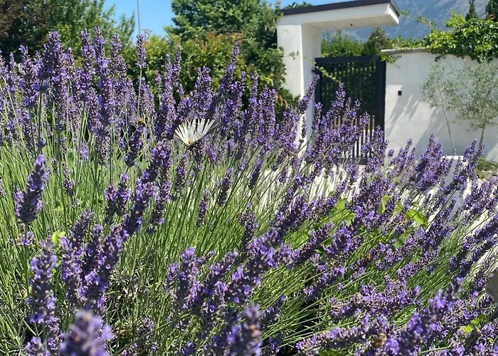 Happy Nest Tatil Evi Sulmona